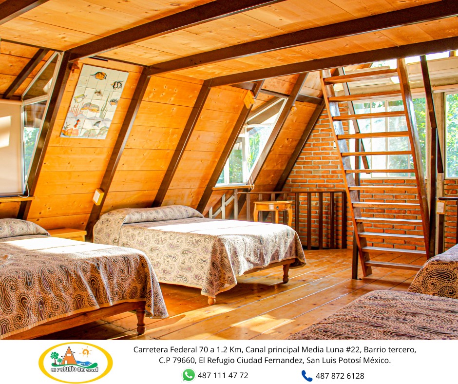 327206899_496955102552897_4436918176751708863_n