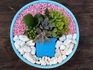 104545188_2573110412950712_584543664947226348_n