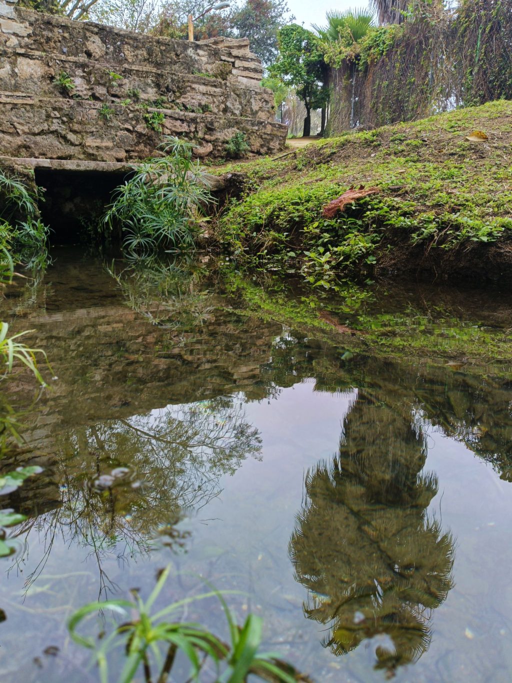 472559480_122130137888548015_293686218616185858_n