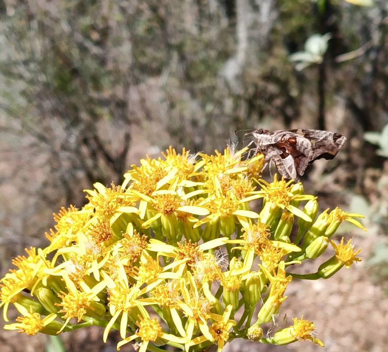 488644636_122146528232548015_2005029793141099556_n