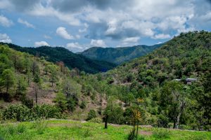 514040078_122161836062538982_3804918278591384659_n