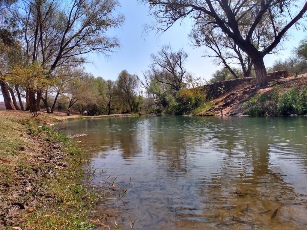 WhatsApp Image 2024-11-19 at 11.22.11 AM (2)