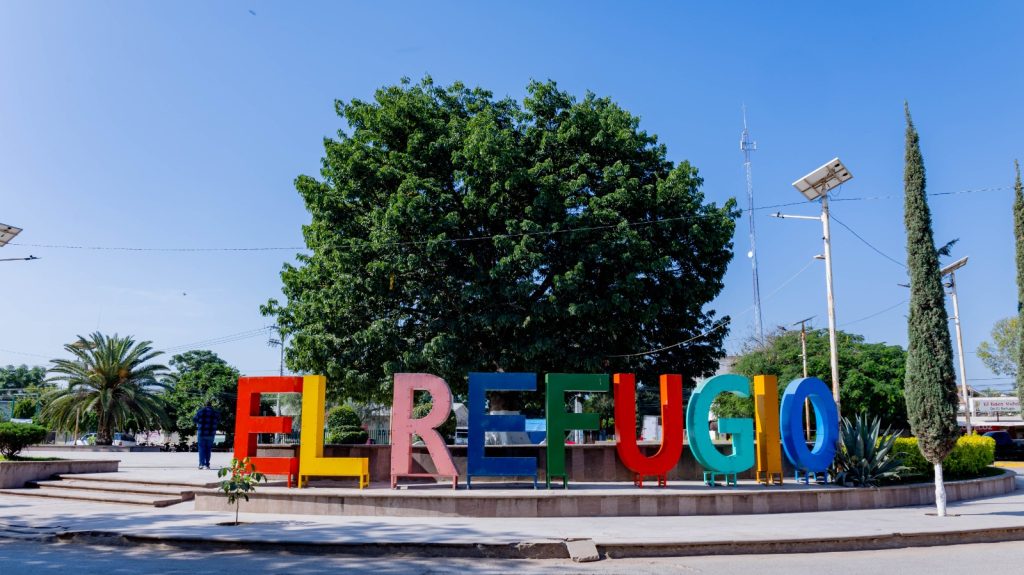 WhatsApp Image 2025-07-04 at 11.55.22 AM (2)