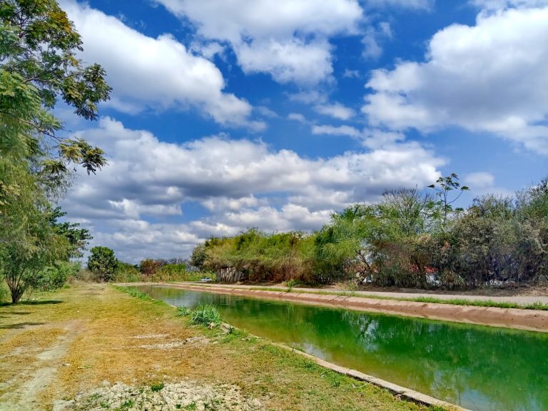 WhatsApp Image 2025-07-07 at 11.20.02 AM (2)