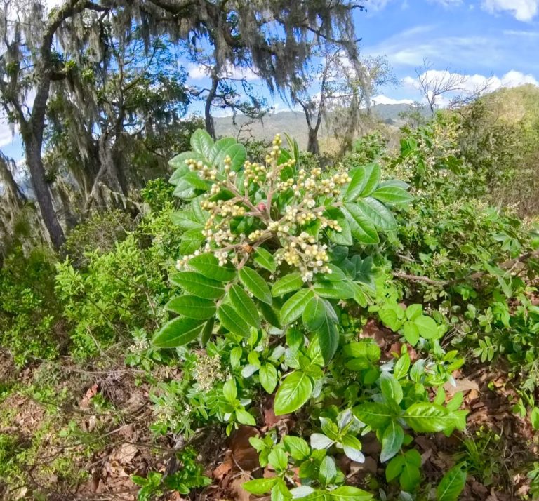 WhatsApp Image 2025-07-07 at 12.57.07 PM (1)