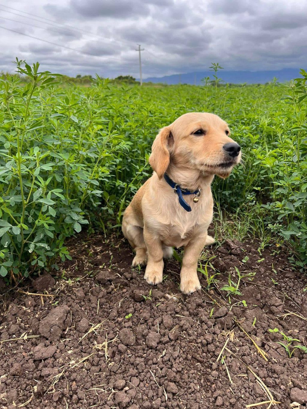 669634198_122202877046548015_7477594176245949639_n