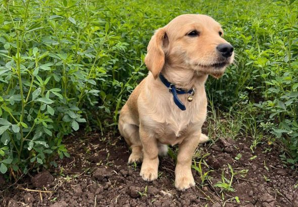 669634198_122202877046548015_7477594176245949639_n